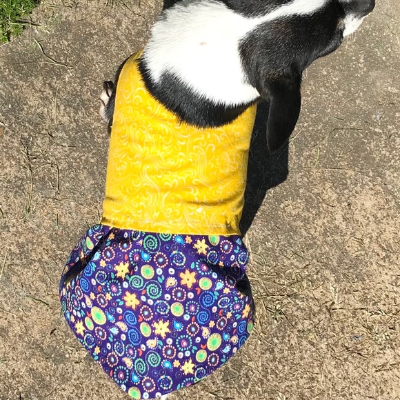 Cute custom made dog dress12-14 lbs spring - Picture 6 of 9